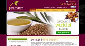 Magento E-Commerce Solutions