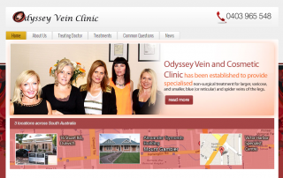 Wordpress Business Websites